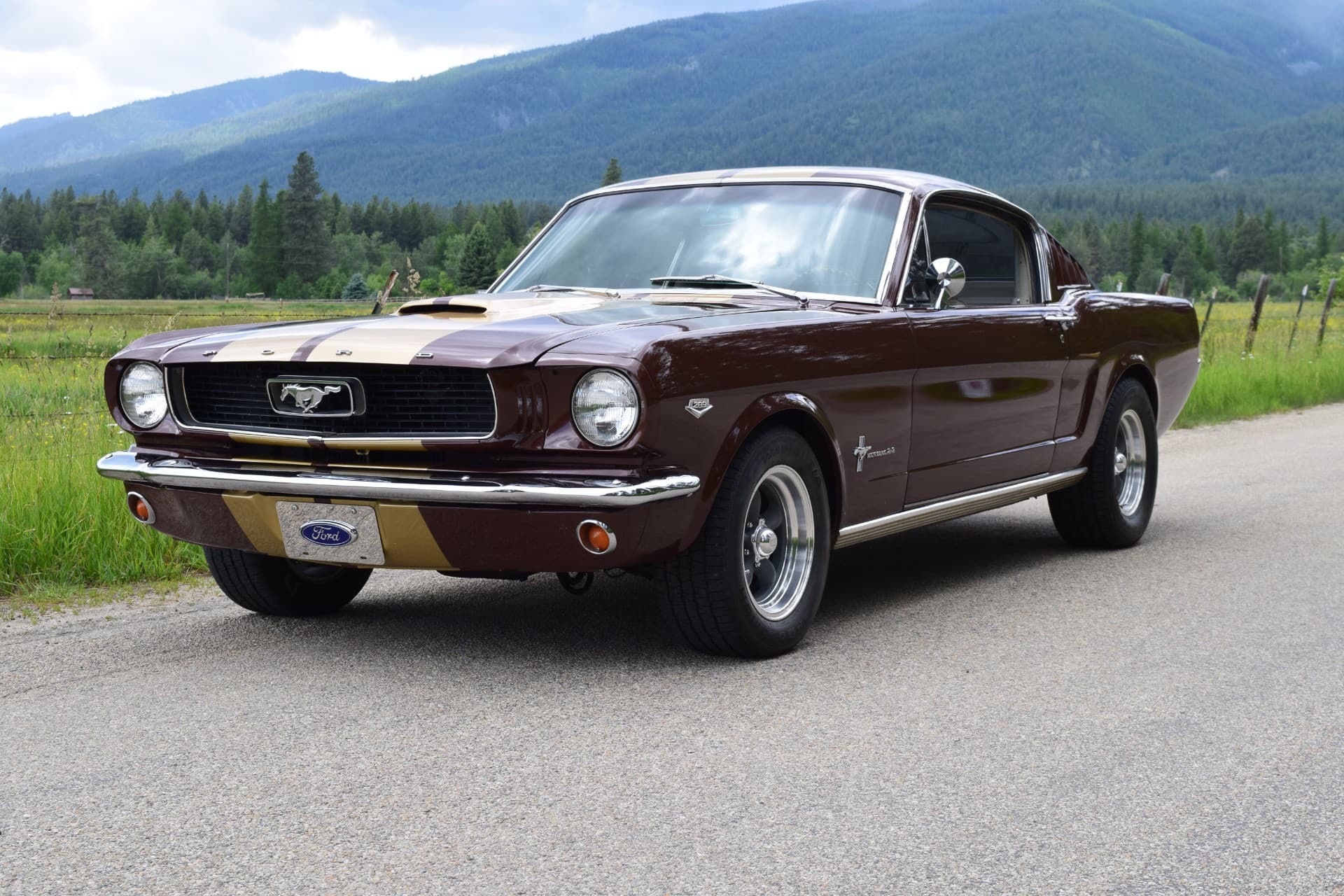 Ford-Mustang-1966-2024-05-21T21:38:29.545Z